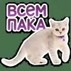 👋 Эмодзи «Котятки» для Telegram