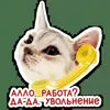 📞 Эмодзи «Котятки» для Telegram