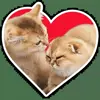 👩‍❤️‍👨 Эмодзи «Котятки» для Telegram