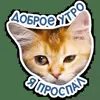 🥱 Эмодзи «Котятки» для Telegram
