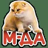 😐 Эмодзи «Котятки» для Telegram