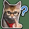 ❓ Эмодзи «Котятки» для Telegram