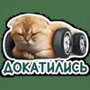 🚗 Эмодзи «Котятки» для Telegram