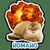 💥 Эмодзи «Котятки» для Telegram