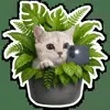 📸 Эмодзи «Котятки» для Telegram