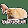 🫤 Эмодзи «Котятки» для Telegram