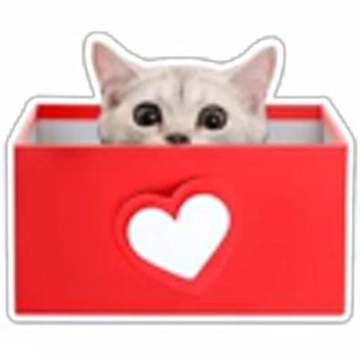 👀 Эмодзи «Котятки» для Telegram
