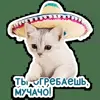 🤠 Эмодзи «Котятки» для Telegram