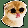 😎 Эмодзи «Котятки» для Telegram