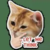 🤔 Эмодзи «Котятки» для Telegram