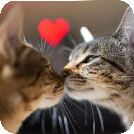 ❤ Стикер «Котики ChatGPT» для Telegram