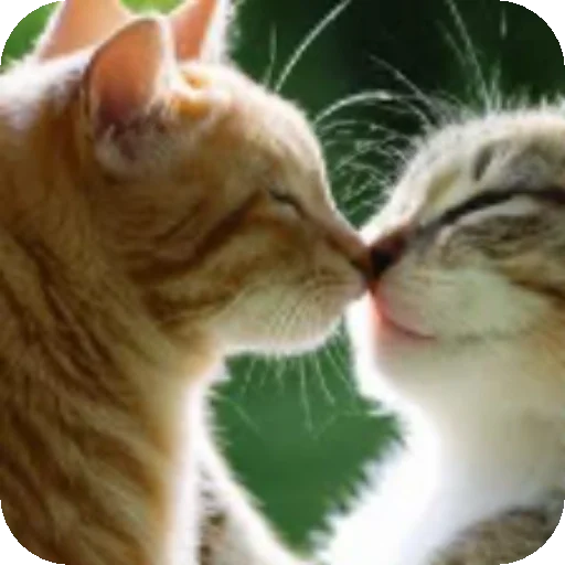 😗 Стикер «Котики ChatGPT» для Telegram