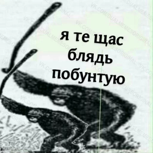 🤐 Стикер «CHATICK CHAN» для Telegram