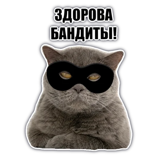 😎 Стикер «chatkasha» для Telegram