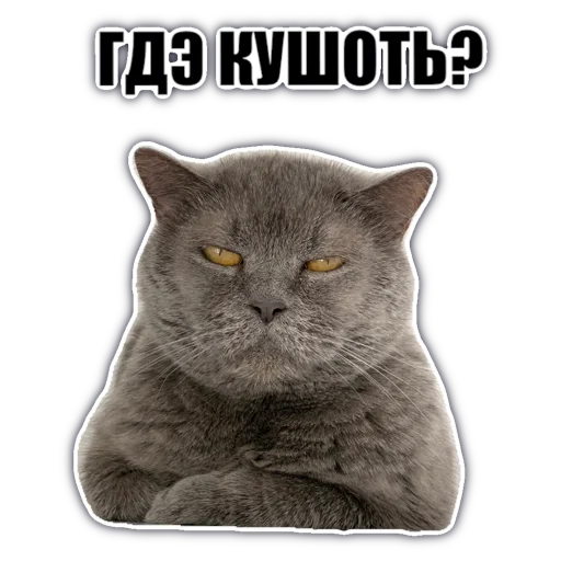 🥘 Стикер «chatkasha» для Telegram