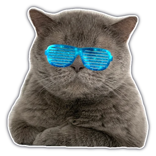 😎 Стикер «chatkasha» для Telegram