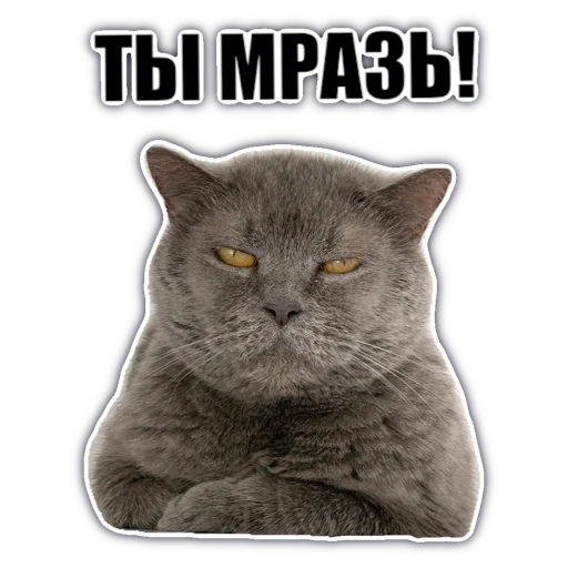 Стикерпак chatkasha для Telegram