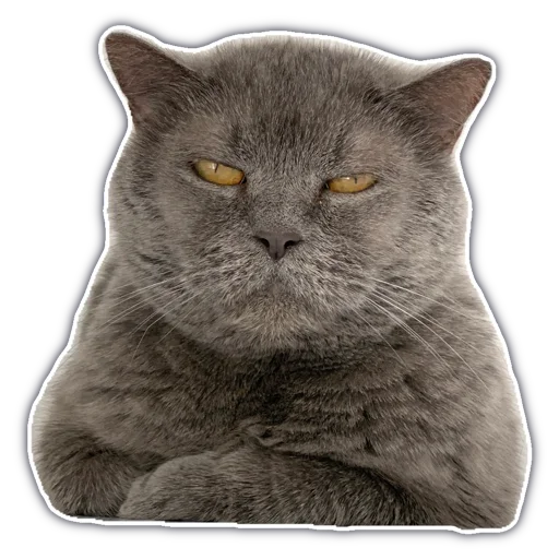 😔 Стикер «chatkasha» для Telegram