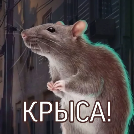 ❤️ Стикер «Чатовые стикеры» для Telegram