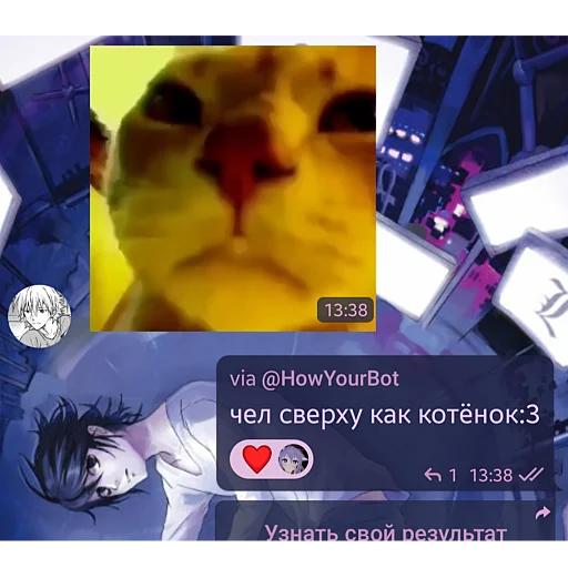 😻 Стикер «гении чата ласта» для Telegram