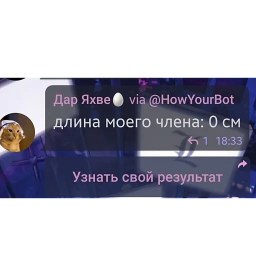 🥵 Стикер «гении чата ласта» для Telegram