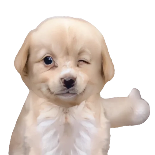 👍 Стикер «doggies» для Telegram