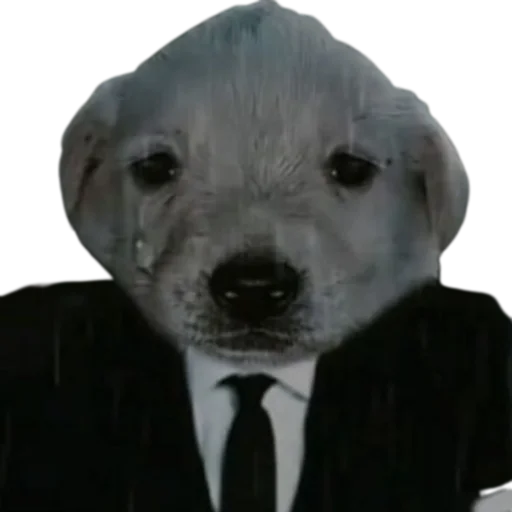 😢 Стикер «doggies» для Telegram