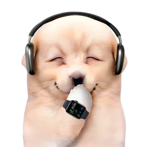 😮‍💨 Стикер «doggies» для Telegram