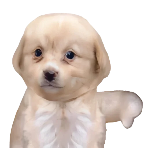 👎 Стикер «doggies» для Telegram