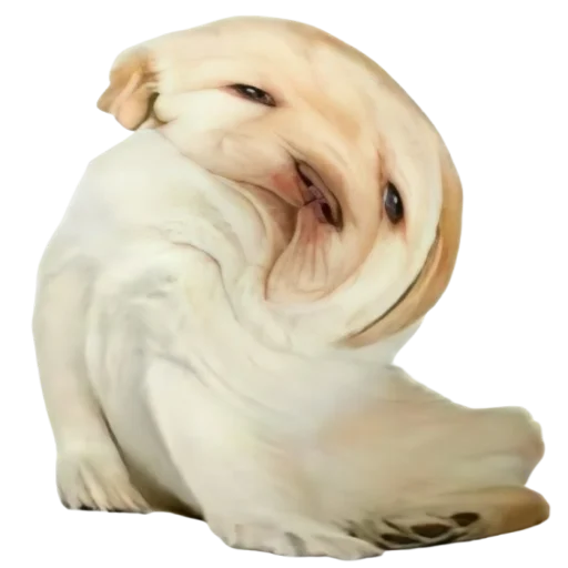 😜 Стикер «doggies» для Telegram