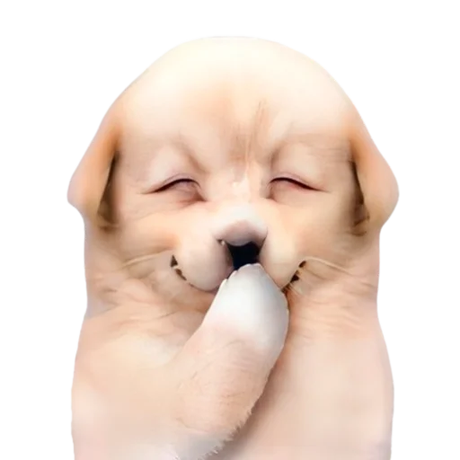 ☺️ Стикер «doggies» для Telegram