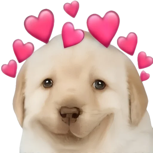 🥰 Стикер «doggies» для Telegram