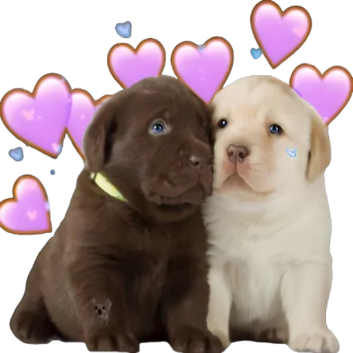 🥰 Стикер «doggies» для Telegram