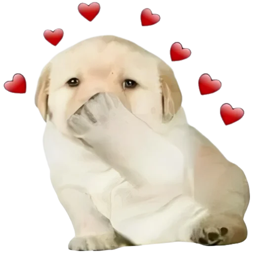 ❤️ Стикер «doggies» для Telegram
