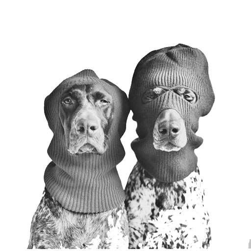 Стикерпак dogs! для Telegram