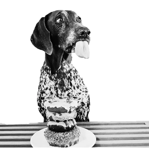 😒 Стикер «dogs!» для Telegram
