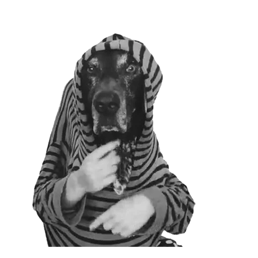 😜 Стикер «dogs!» для Telegram
