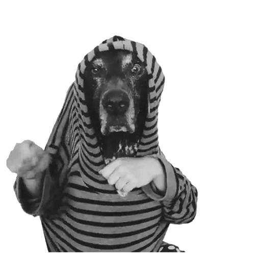 😛 Стикер «dogs!» для Telegram