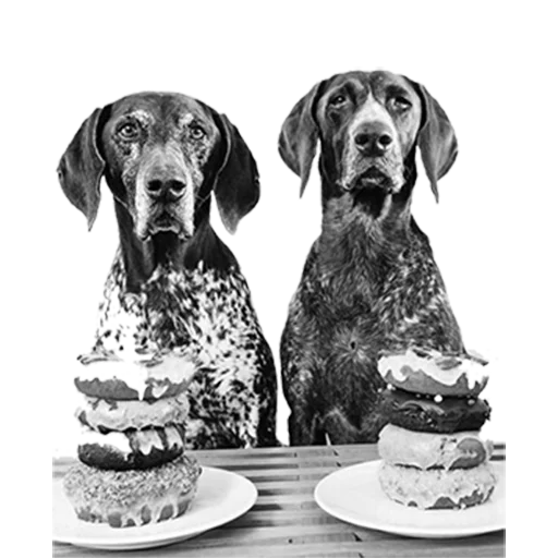 👥 Стикер «dogs!» для Telegram