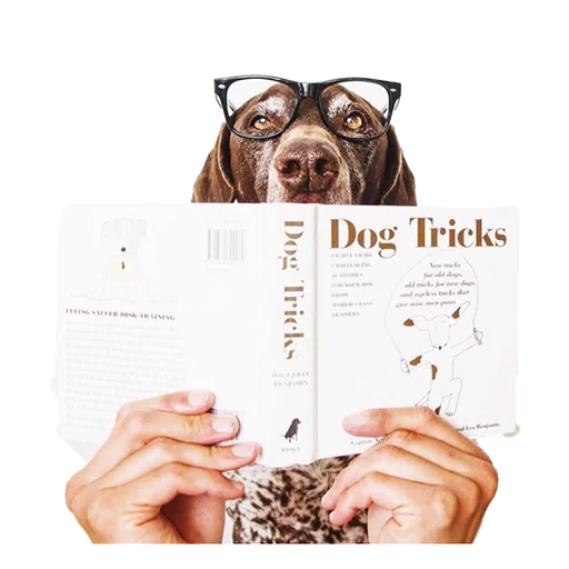 📚 Стикер «dogs!» для Telegram