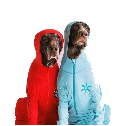 👥 Стикер «dogs!» для Telegram