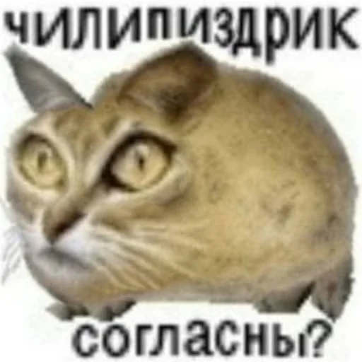 Стикерпак Чилипиздрик для Telegram