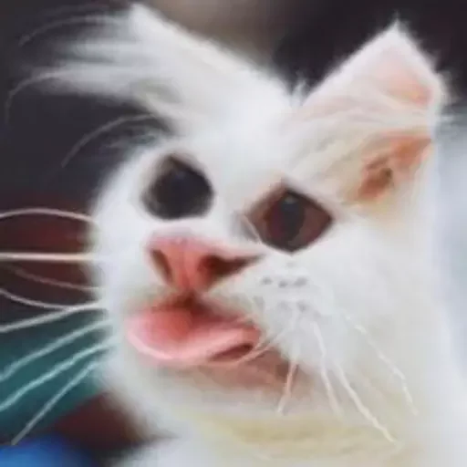 👅 Стикер «Чилипиздрик» для Telegram