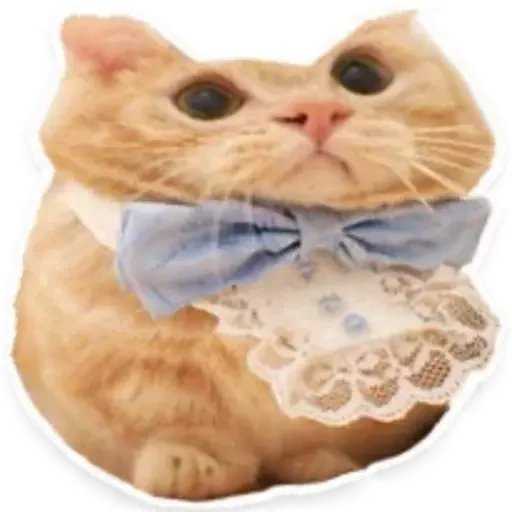 🎀 Стикер «Чилипиздрик» для Telegram