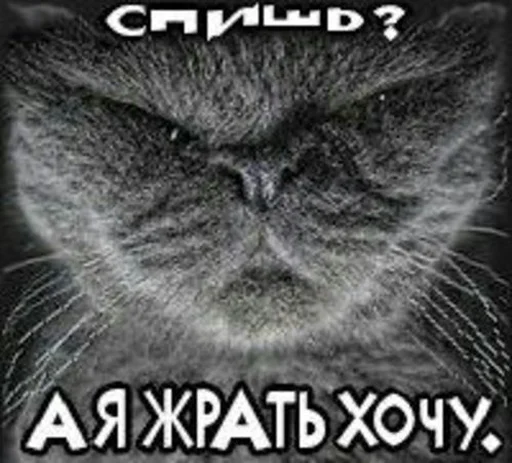 😇 Стикер «Чилипиздрик» для Telegram