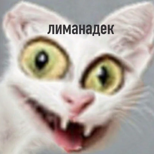 🥃 Стикер «Чилипиздрик» для Telegram
