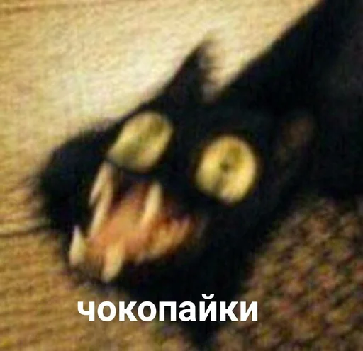 🍫 Стикер «Чилипиздрик» для Telegram