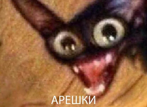 🌰 Стикер «Чилипиздрик» для Telegram