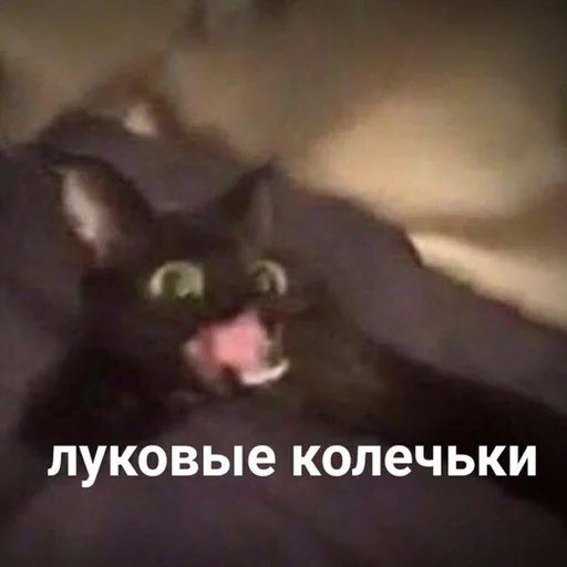 🍈 Стикер «Чилипиздрик» для Telegram