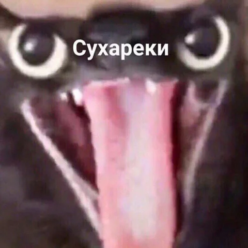 😋 Стикер «Чилипиздрик» для Telegram